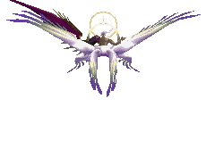 Roac Wind